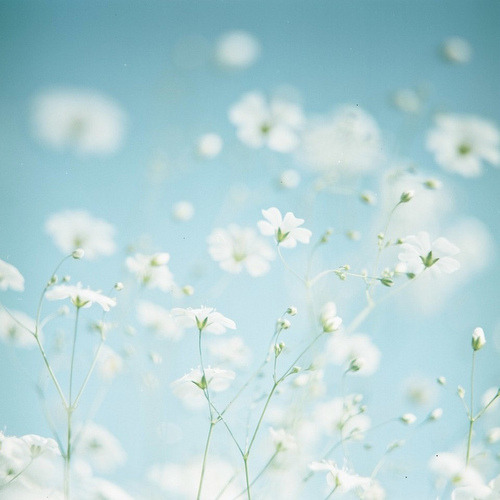 Guaranteed to be the most beautiful blog you’ve ever seen.