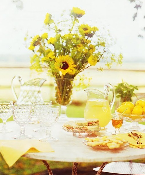 Guaranteed to be the most beautiful blog you’ve ever seen.