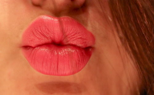 Guaranteed to be the most beautiful blog you’ve ever seen.