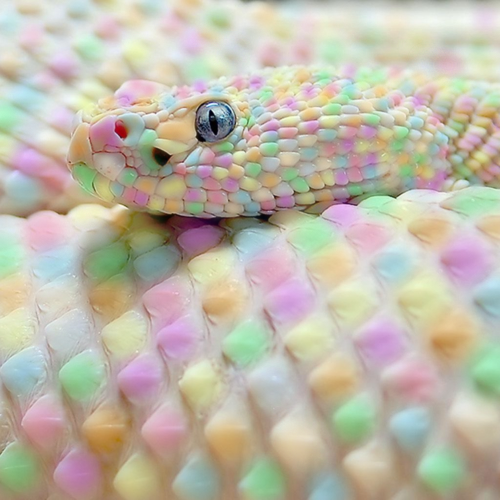 Guaranteed to be the most beautiful blog you’ve ever seen.