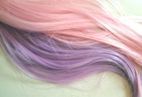 Guaranteed to be the most beautiful blog on your dash.