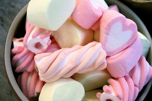 Guaranteed to be the most beautiful blog on your dash.