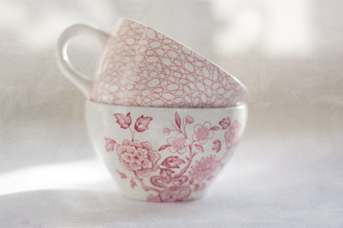 Guaranteed to be the most beautiful blog on your dash.