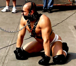 bdsmgay:  Slave in the public 