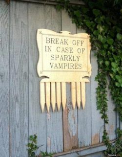 the-absolute-funniest-posts:   In case of sparkly vampire (Via The Absolute Funniest Posts)