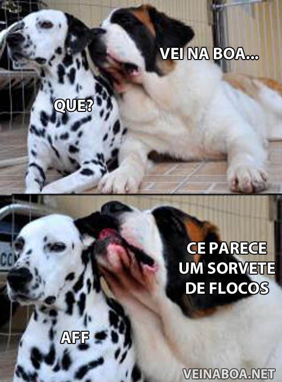 Vamos viver , vadiar (8'