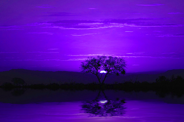 3-arth:  Purple moonrise by ff137 on Flickr.  
