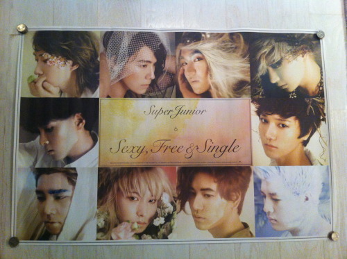 zemnax:  ~KPOP ALBUM GIVEAWAY!~ Hello everyone! I was on my way to buy myself some albums when I cam