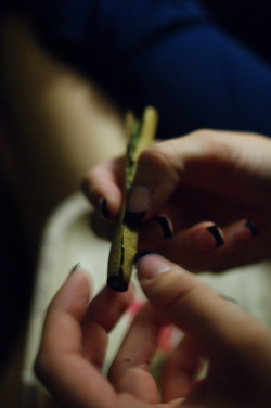 karyotype:  caterinrios:  i need to learn how to roll a blunt  ^^^^^  I shall teach you my friends