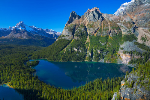 Lake O'Hara and surrounding peaks in Yoho National Park, Canada (by Lee Rentz).