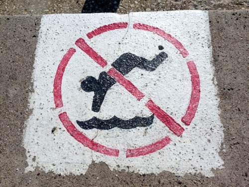 no diving