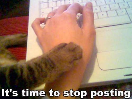 edsheewalkedd:  dear officialsabrina_xo   sincerely everyone  