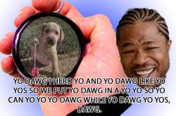 meme-spot:  Xzibit The Meme Spot