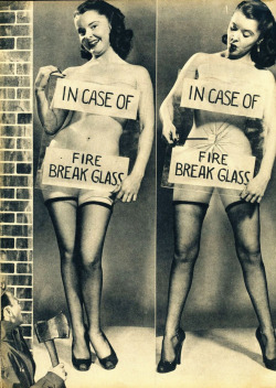 “In Case of Fire, Break Glass,”