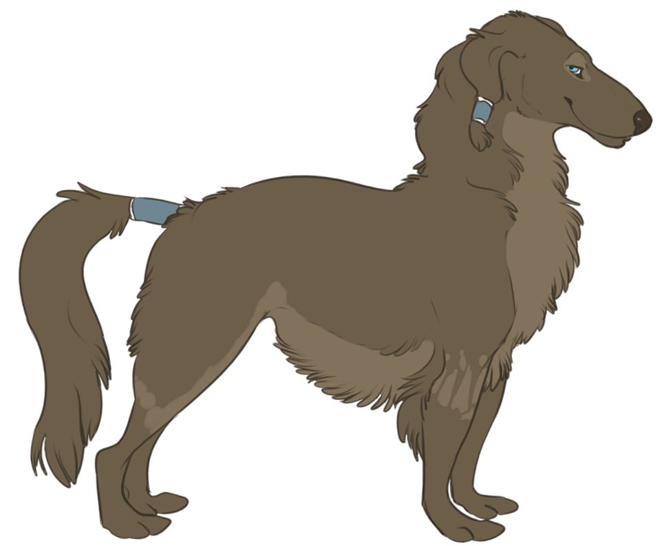 korrashorts:  asklittlenaga:  Kanine Krew 1. (Putting them together for easier access.
