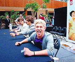 Graphic representation of why I think Niall would be the best lover in One Direction.