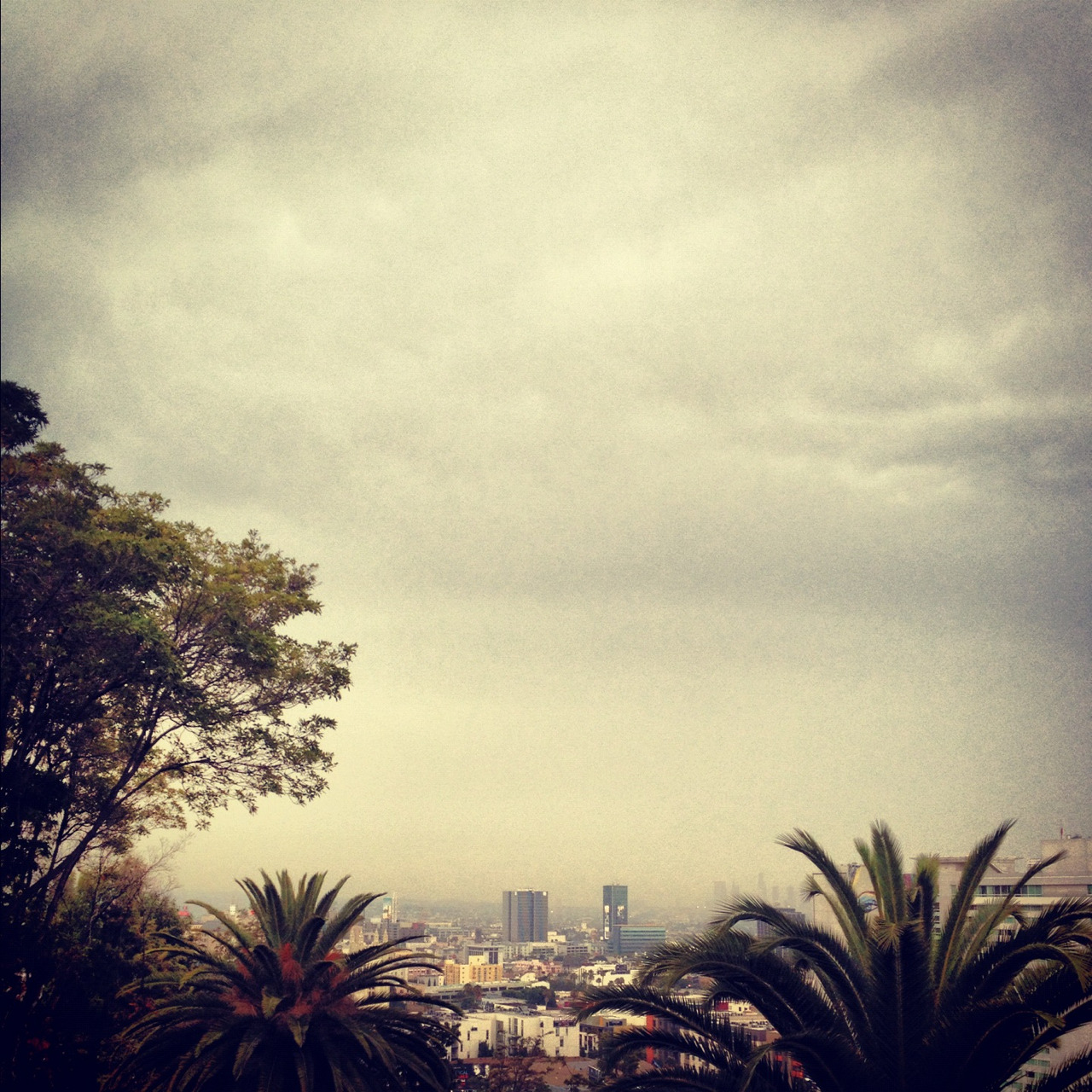 Yamashiro Farmers Market