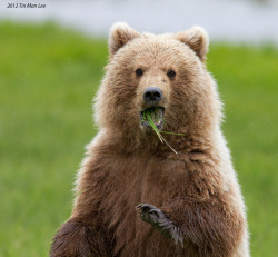 magicalnaturetour:   “They get scared too” by Tin Man :)