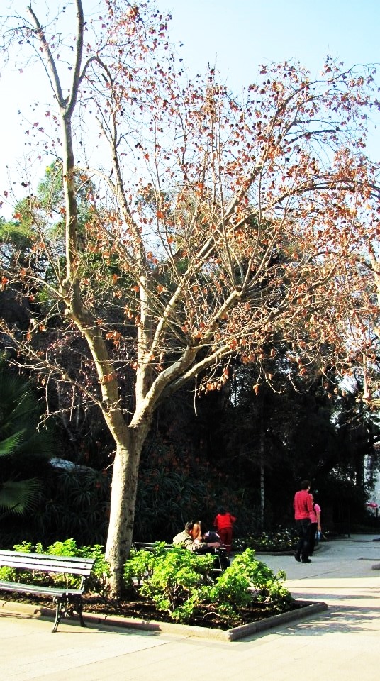 isss-majjo:  Cerro Santa Lucía, Santiago de Chile&lt;3’ 