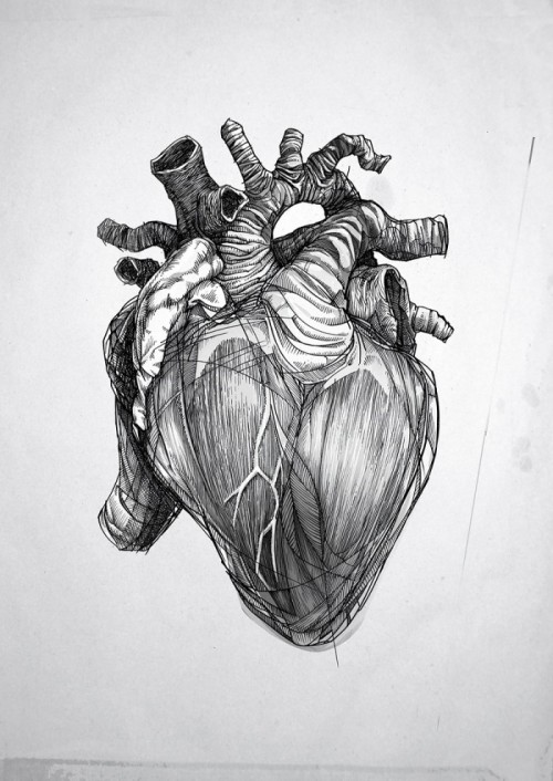 devidsketchbook: Bartek Elsner - The Heart