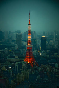 m0iety:  Tokyo by Sergio Rozas 