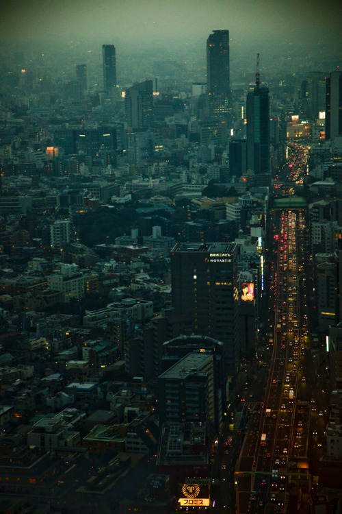 m0iety:  Tokyo by Sergio Rozas 