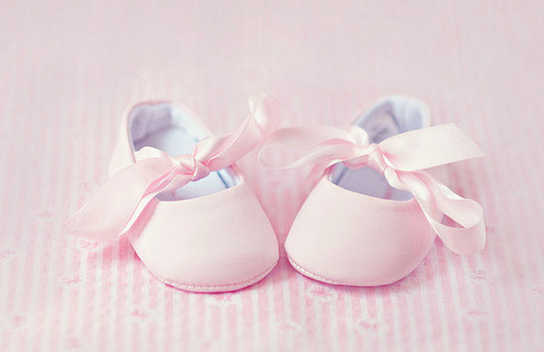 Guaranteed to be the most beautiful blog on your dash.