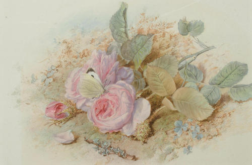 monsieurleprince: Mary Elisabeth Duffield (1819-1914) - Pink roses and a butterfly