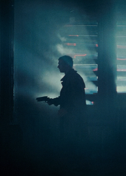 cinepaka-tumblr