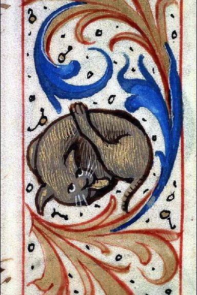 butt-licking catBook of Hours, Lyon, ca. 1505-1510.Lyon, BM, Ms 6881, fol. 30r