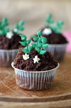 gastrogirl:  sweet potato and chocolate garden cupcakes with cream cheese frosting. 