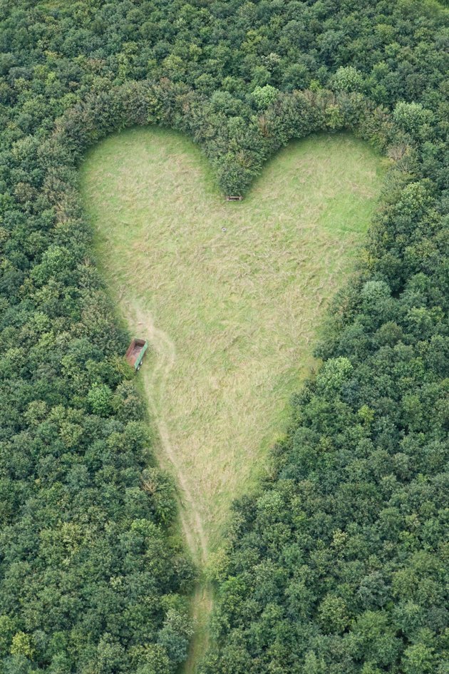  A heart-shaped meadow, created by a farmer as a tribute to his late wife, can be