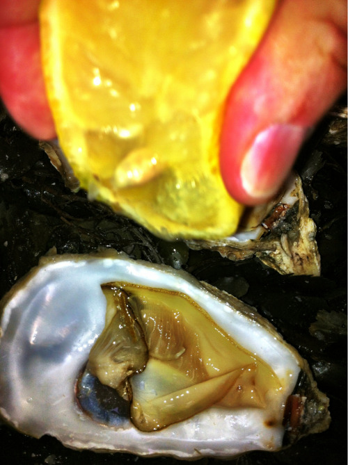 Bastille market oysters for pre-Bastille Day feasting