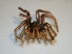 svlc:  “A spider coated in gold to prepare it as a specimen for Scanning electron microscopy.” 