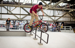 sideynairalej:  (via TumbleOn)Skatepark Amsterdam  