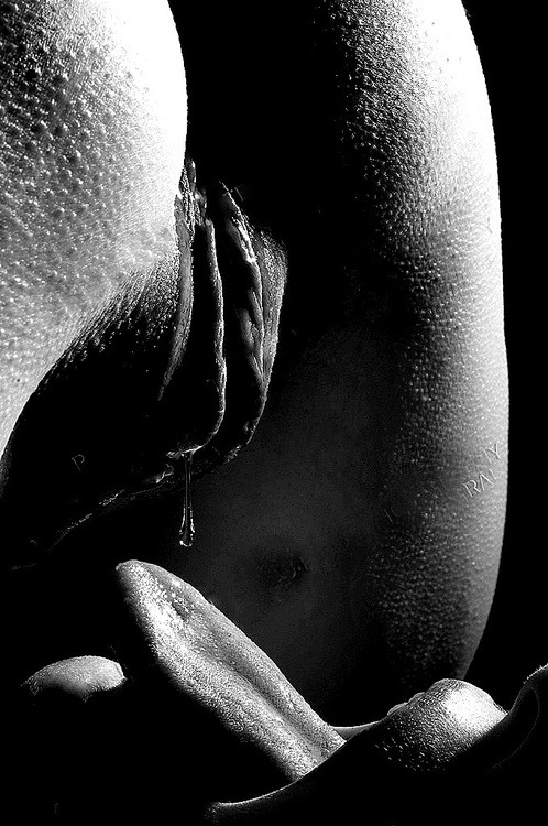 beautifullabiamania:  hornballstuff:  hornymerlinwales:  One of my favourite images.  anticipation  