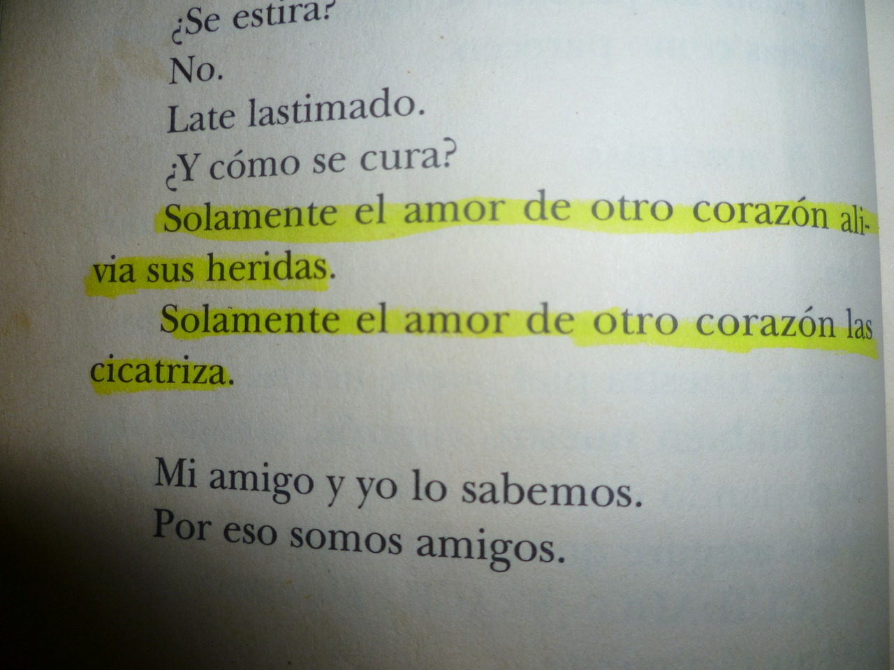 ellasetatuaminombre:  ”Solamente el amor de otro corazón alvia sus heridas ”
