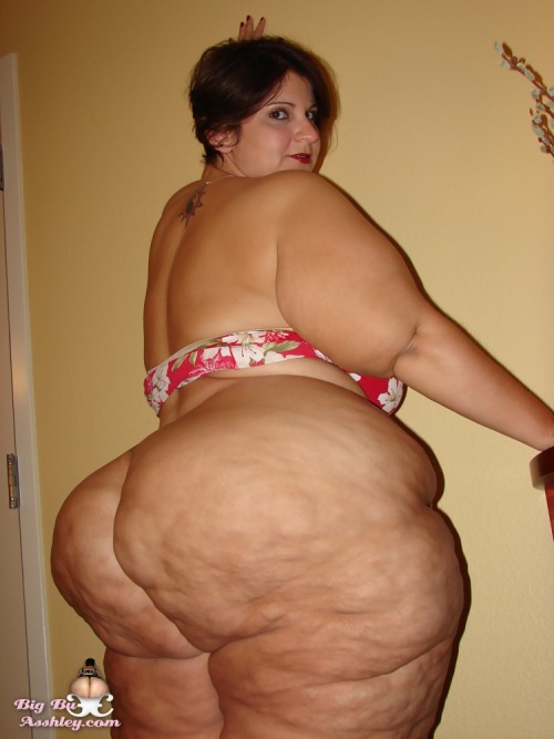 XXX asshleyfan:  datdude4ssbbw:  My gawd.    photo