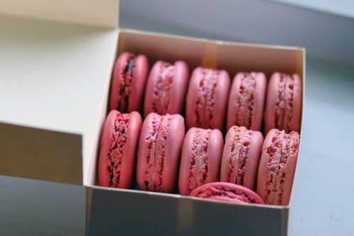 macarons &lt;3