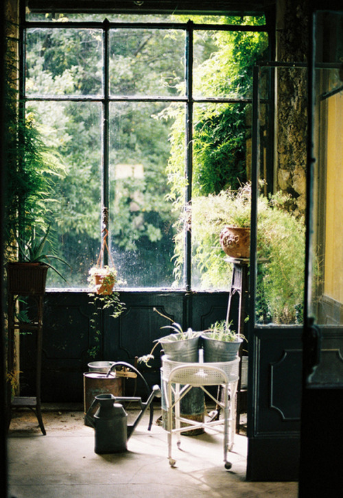 rnortally:vintage♦