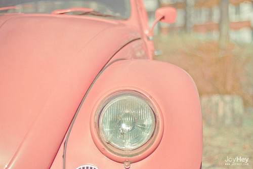 Guaranteed to be the most beautiful blog you have ever seen.