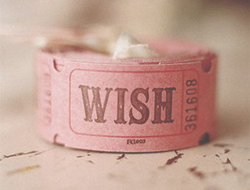 Guaranteed to be the most beautiful blog you have ever seen.