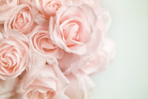 Guaranteed to be the most beautiful blog you have ever seen.