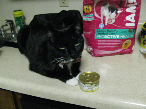Salt is not amused.