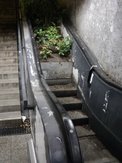 betonon:  Growing stairs. | photo: Untune