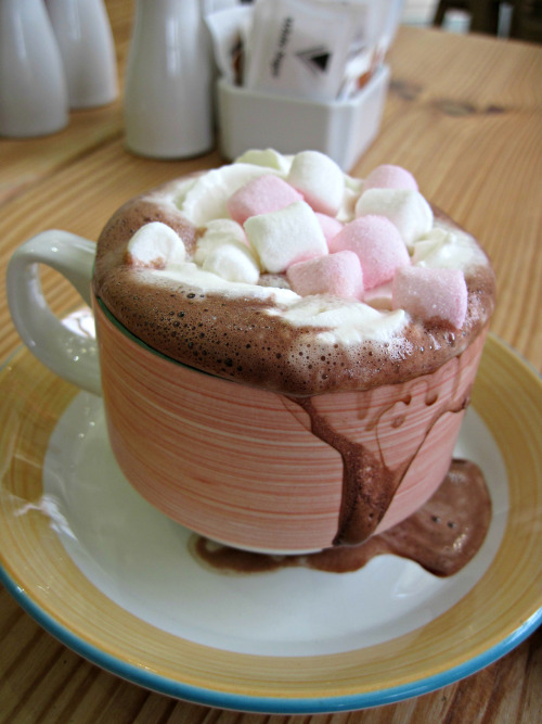 floralhedgehog: Hot chocolate