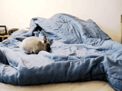 rraaaarrl:  so excite! [x]  @AdorableBipolar