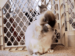 rraaaarrl:  so excite! [x]  @AdorableBipolar