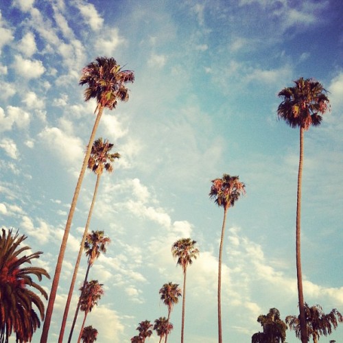 foreverchampagneiglikes:golden hour by sfgirlbybay http://instagr.am/p/NC3EgiEbM7/