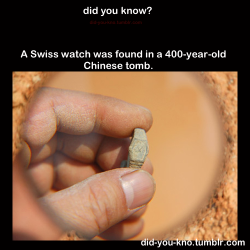 did-you-kno:  The miniature watch, which